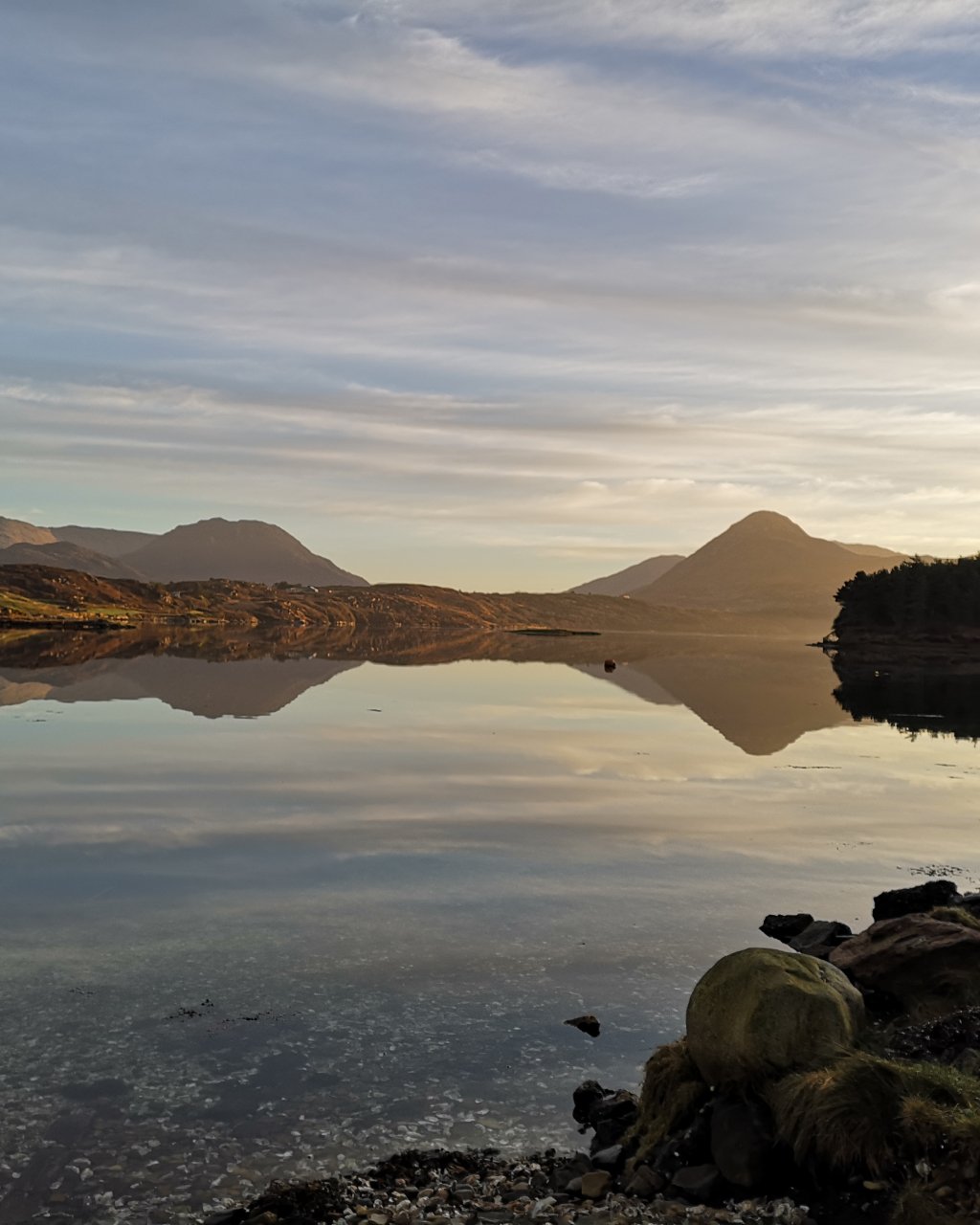 DK Connemara Oysters