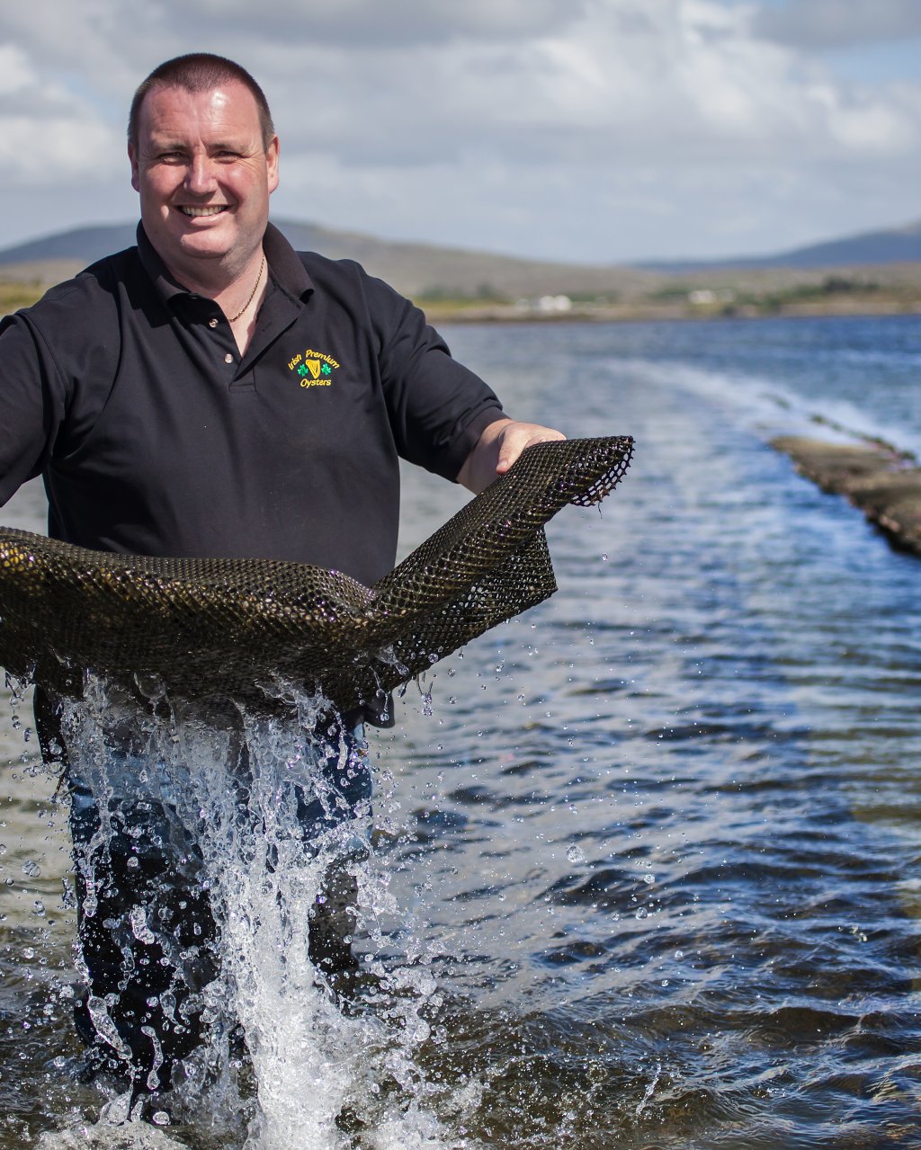 Irish Premium Oysters