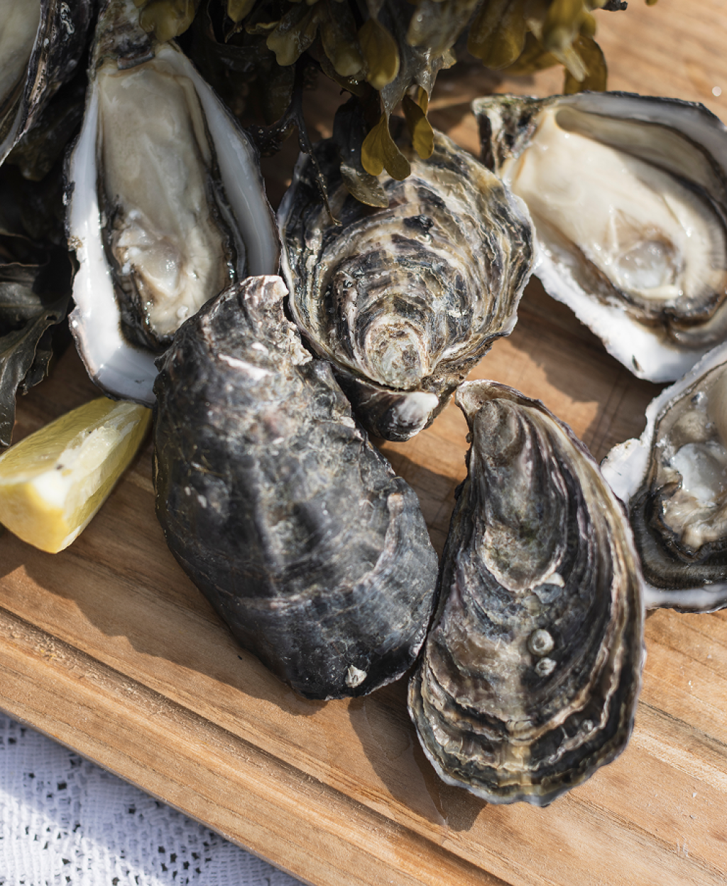 Why Irish Oysters