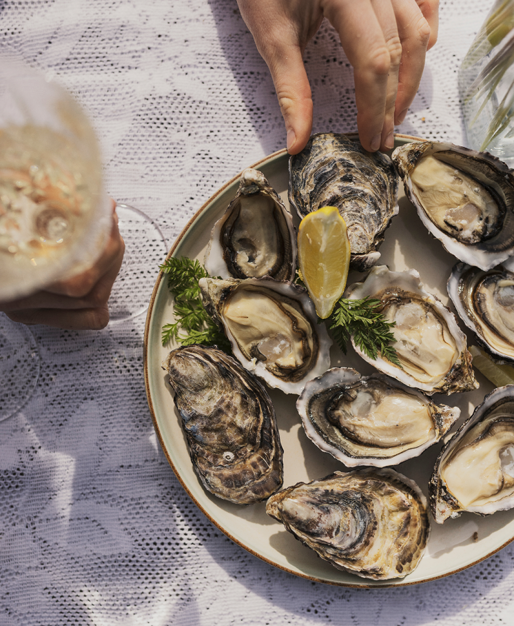 Why Irish Oysters
