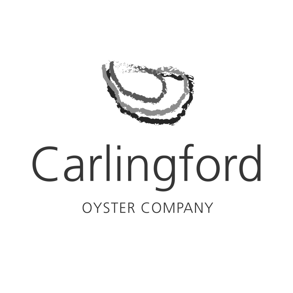 Carlingford Oysters