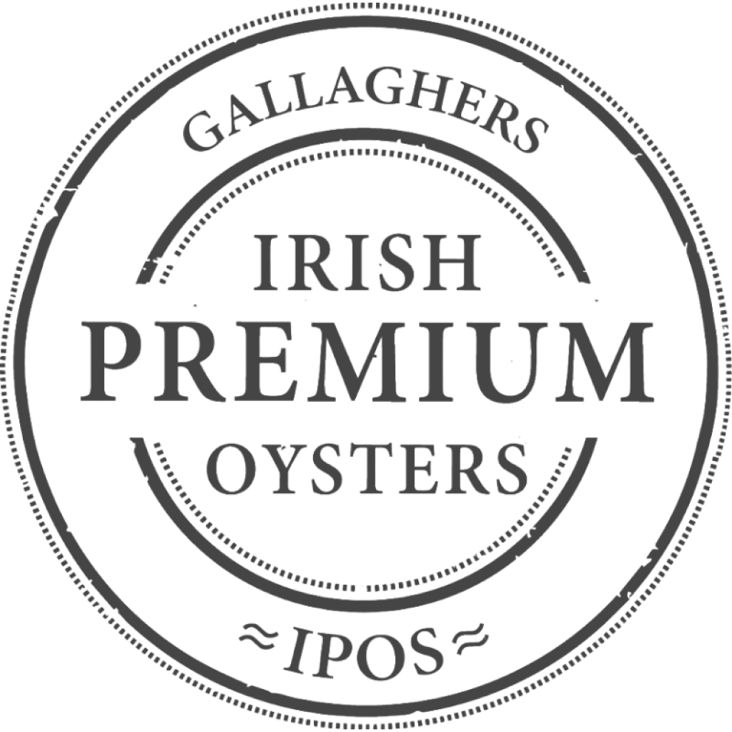 Irish Premium Oysters
